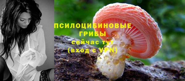 спиды Абдулино