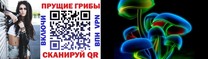 купить наркотики сайты  mega зеркало  Галлюциногенные грибы мицелий  Зея 